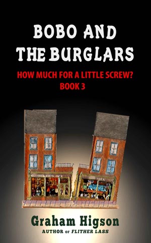 Cover for Bobo and the Burglars