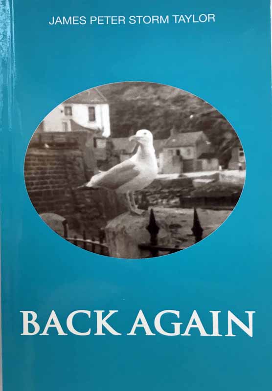 Cover of Back Again by Stephen Reevell